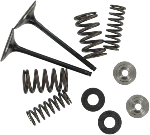 Stainless Steel Conversion Valve And Spring Kit, 1, nordicamoto.ro