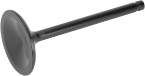 Nitrided Valve