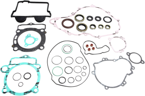 Complete Gasket And Oil Seal Kit