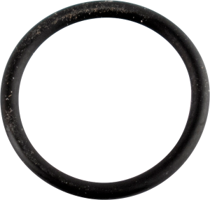 Cam Sensor O-ring
