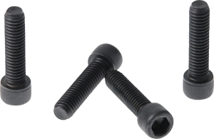Fork Triple Clamp Screws Black