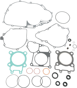 Complete Gasket And Oil Seal Kit