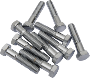 Replacement Hex-head Bolts Silver, 2, nordicamoto.ro
