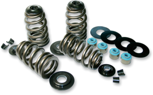 Beehive® Valve Spring Kit 
