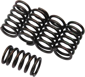 Clutch Spring Kit Black
