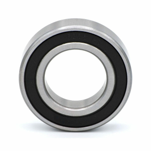 BALL BEARING 6006 DDU2CG23S6NM