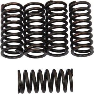 Clutch Spring Kit Black