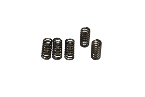 Set arcuri ambreiaj CSK, 1, nordicamoto.ro