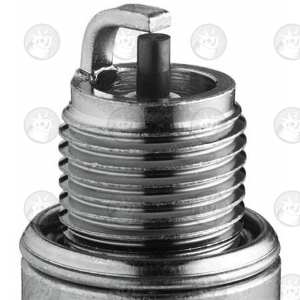 3066234309-3