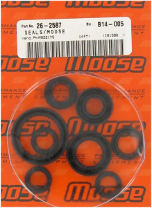 Oil Seals