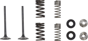 MOOSE RACING Exhaust Valve, 4, nordicamoto.ro