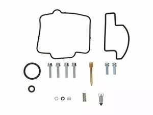 Carburator Rebuild Kit 