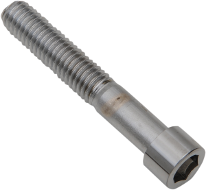 Replacement Socket Head Bolts Silver