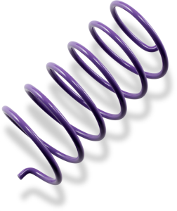 Secondary Clutch Spring Purple, 1, nordicamoto.ro