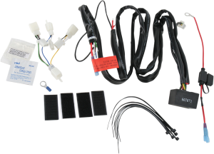 Trailer Wiring Harness And Relay, 1, nordicamoto.ro