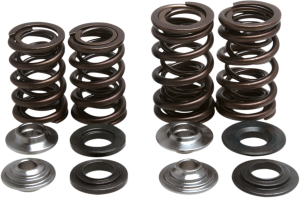 Valve Spring Kit