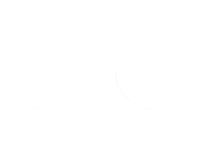 Fork Oil Seals Black