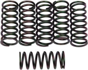 Clutch Spring Kit Black