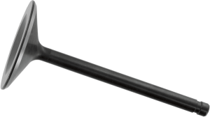Nitrided Valve