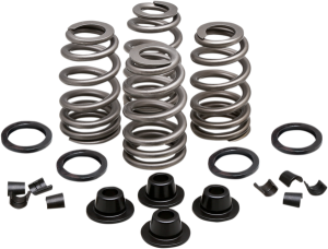 Valve Spring Kit, 1, nordicamoto.ro