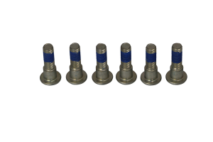 Brake Rotor Bolt Set Silver, Stainless Steel