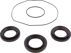 Differential Bearing-seal Kit 
