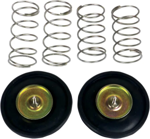 Carburetor Air Cut-off Valve Set