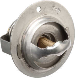 Replacement Thermostat 