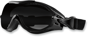 Phoenix Goggles Black