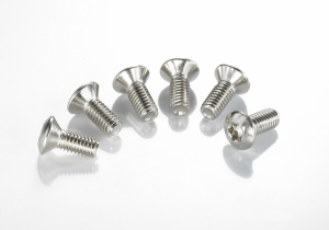 Brake Rotor Bolt Set Silver, Stainless Steel