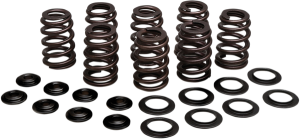Beehive Valve Spring Kit, 1, nordicamoto.ro