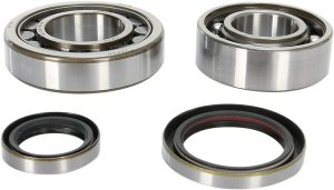 Kit rulmenti ambielaj cu semeringuri KTM 250/300 04-19  PROX