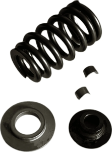 Valve springs kit 450