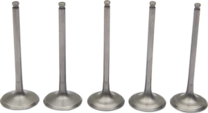 Pro Valve Kit 