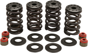 Valve Spring Kit