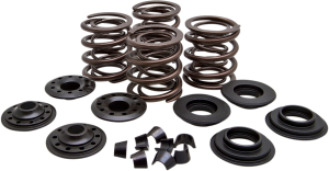 Complete Valve Spring Kit