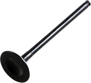 Replacement Valve Black, 1, nordicamoto.ro