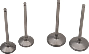 Pro Valve Kit 