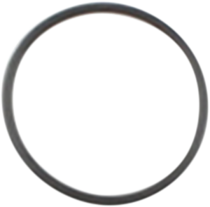 Starter O-ring