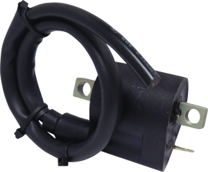 Ignition Coil Black