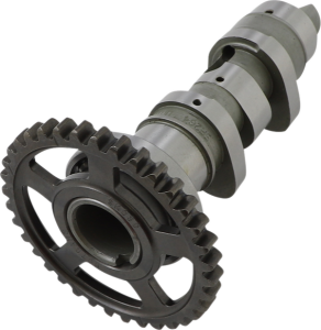 Intake/exhaust Camshaft