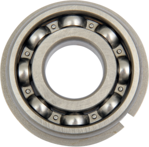 Counterbalance Shaft Bearing