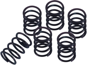 Clutch Spring Kit Black