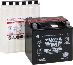 Agm Maintenance-free Battery Black