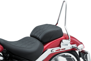 Sissy Bar Harley Davidson Black, Silver, 2, nordicamoto.ro