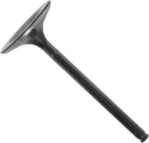 Black Diamond Engine Valve