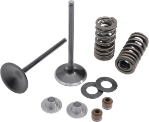 Stainless Steel Conversion Valve And Spring Kit