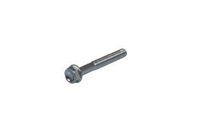 Bolt Silver 