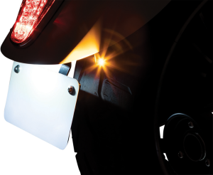 Rear Turn Signal & License Plate Mount