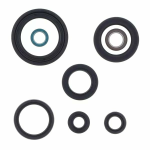 Engine Oil Seal 